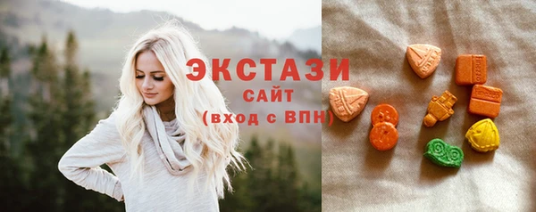 мдпв Инсар