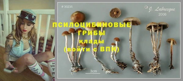 apvp Каменск-Шахтинский