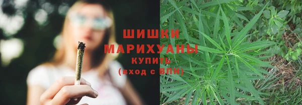 амф Каменка