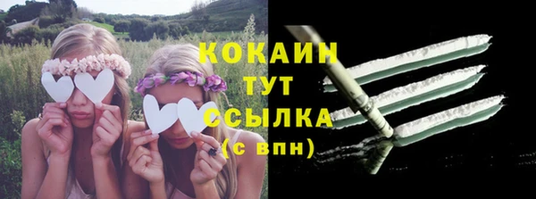 амф Каменка