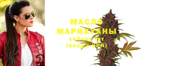 мдпв Инсар
