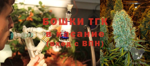 сатива Каменногорск