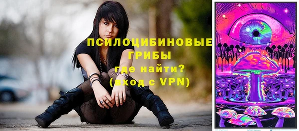 сатива Каменногорск