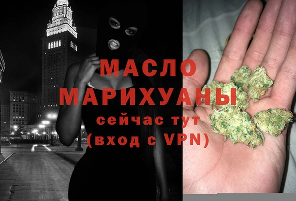 мдпв Инсар