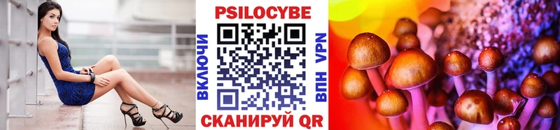 Купить закладки  Ветлуга  Псилоцибиновые грибы прущие грибы 