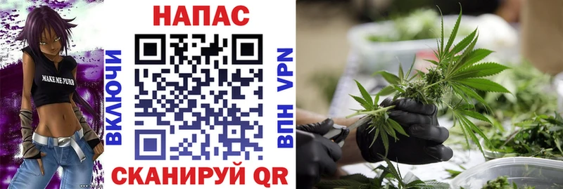 Купить где  Ветлуга  Конопля марихуана 